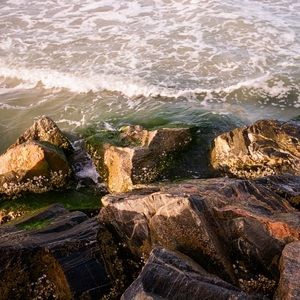 Meet your Posher, Fletcher